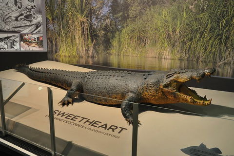 Explore Darwin City Sights Including Key Attractions - Australian Destinations 2
