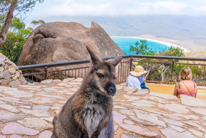  Australian Destinations