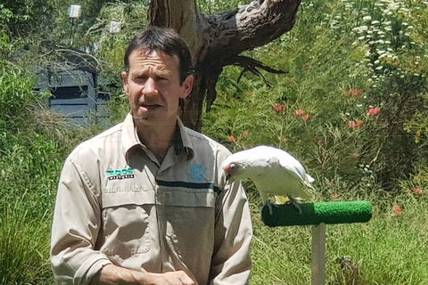 Healesville Sanctuary And Rayners Orchard Tour From Melbourne - Australian Destinations 0