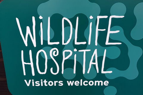 Healesville Sanctuary And Rayners Orchard Tour From Melbourne - Australian Destinations 1