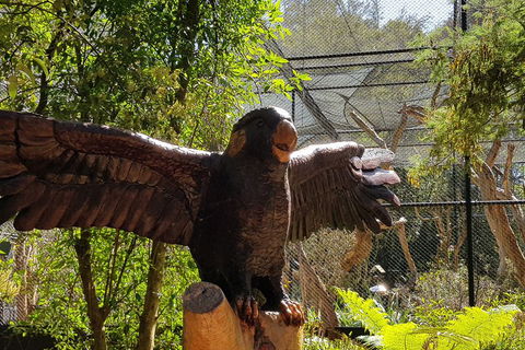 Healesville Sanctuary And Rayners Orchard Tour From Melbourne - Australian Destinations 2