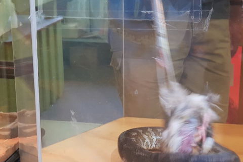 Healesville Sanctuary And Rayners Orchard Tour From Melbourne - Australian Destinations 4