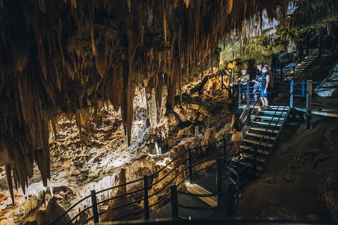 Ngilgi Cave Semi-guided Tour - Australian Destinations 5