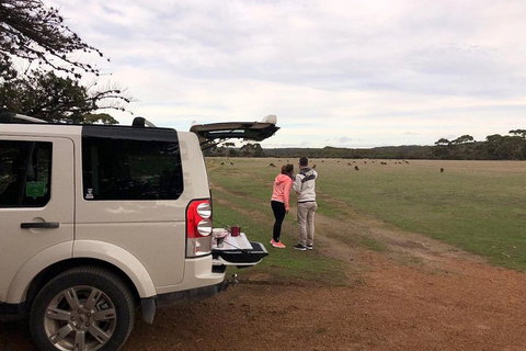 Kangaroo Island 4WD Tour - Flinders Chase - Australian Destinations 3