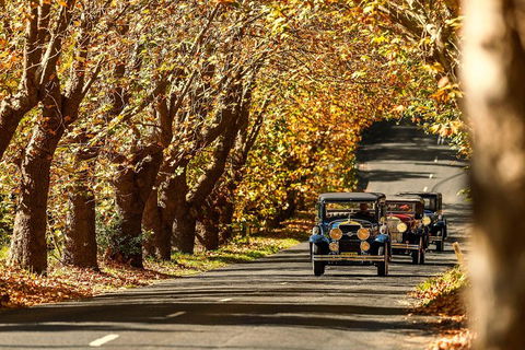 Blue Mountains Vintage Cadillac Tour With Local Guide - Australian Destinations 1