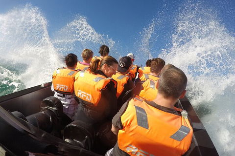 Noosa Thriller - 500hp Ocean Adventure Ride - Australian Destinations 4