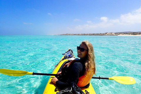 Lagoon Explorer - Ningaloo Reef Full-Day Kayaking And Snorkeling Adventure - Australian Destinations 1