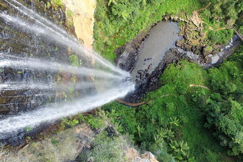Natural Bridge & Springbrook Waterfalls Tour + Hot Air Balloon With Breakfast - Australian Destinations 1
