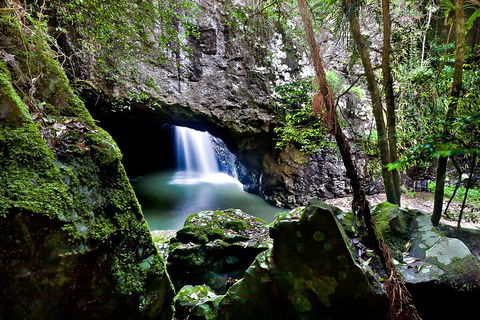 Natural Bridge & Springbrook Waterfalls Tour + Hot Air Balloon With Breakfast - Australian Destinations 4