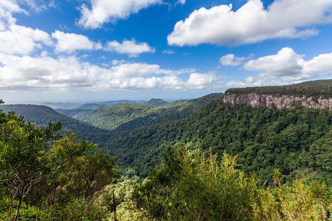 Natural Bridge & Springbrook Waterfalls Tour - Australian Destinations 1