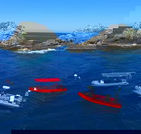 3-Hour Byron Bay Certified Scuba Diving Tour - Australian Destinations