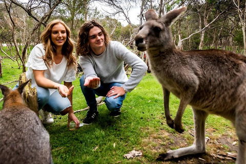 Moonlit Sanctuary Wildlife Conservation Park Daytime General Entry Ticket - Australian Destinations 2