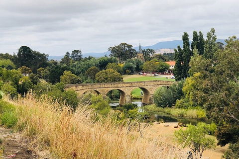 Day Tour In Mt. Field, Mt. Wellington, Bonorong Wildlife Sanctuary And Richmond - Australian Destinations 3