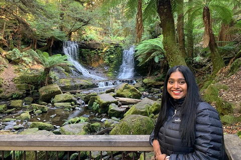 Day Tour In Mt. Field, Mt. Wellington, Bonorong Wildlife Sanctuary And Richmond - Australian Destinations 5