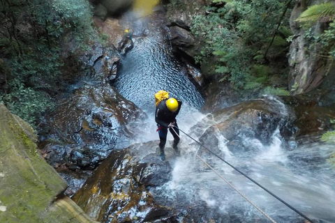 Full-Day Canyoning Experience At Stunning Empress Canyon - Australian Destinations 4