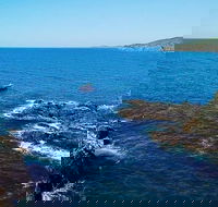 Julian Rocks Byron Bay Cruise - Australian Destinations