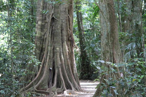 Noosa And Sunshine Coast Hinterland Day Trip From Brisbane - Australian Destinations 3