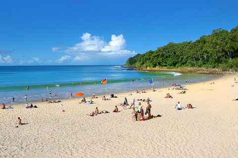 Noosa Everglades Serenity Cruise & Highlights Tour Inc. Lunch & Cruise - Australian Destinations 4