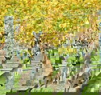 Margaret River Indulge and Discover Day Tour - Australian Destinations