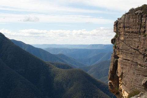 Inside The Greater Blue Mountains World Heritage - A Private Wildlife Safari Overnight - Australian Destinations 4