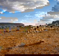 Mount Conner 4WD Small Group Tour from Ayers Rock including Dinner - Australian Destinations