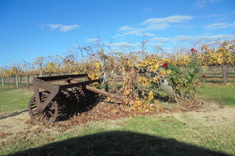 Swan Valley Tour From Perth: Wine, Beer And Chocolate Tastings - Australian Destinations 3