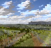 Hunter Valley Wine Tour from Sydney incl Lunch Cheese Chocolate and Distillery - Australian Destinations