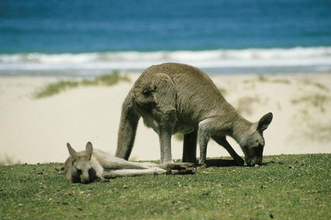 Great Ocean Road Highlights Tour - 2 Days, 1 Night - Australian Destinations 2